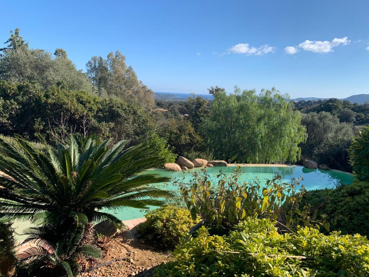 Coin Exotique Villa Casaeva Porto-Vecchio  Eksteriør bilde